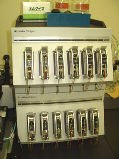 DNA microarray automated reaction system